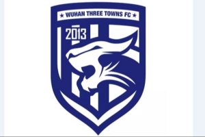 武汉足管中心主任：武汉三镇正推进股改事宜，已做好净资调查工作